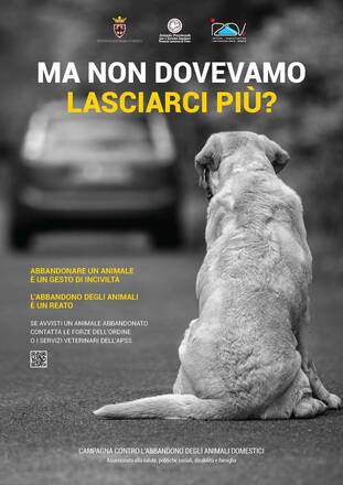 "Ma non dovevamo lasciarci più?", la campagna contro l'abbandono degli animali domestici
