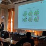 Immagine: 20220711 105432