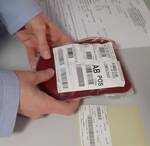 Immagine: 20230116 113133