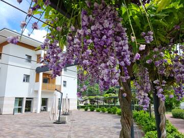 L’assessore alla salute ha visitato la RSA “Casa Famiglia” di Cadine