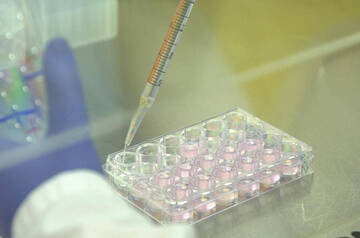 Coronavirus: dal bollettino di martedì 27 aprile 2021