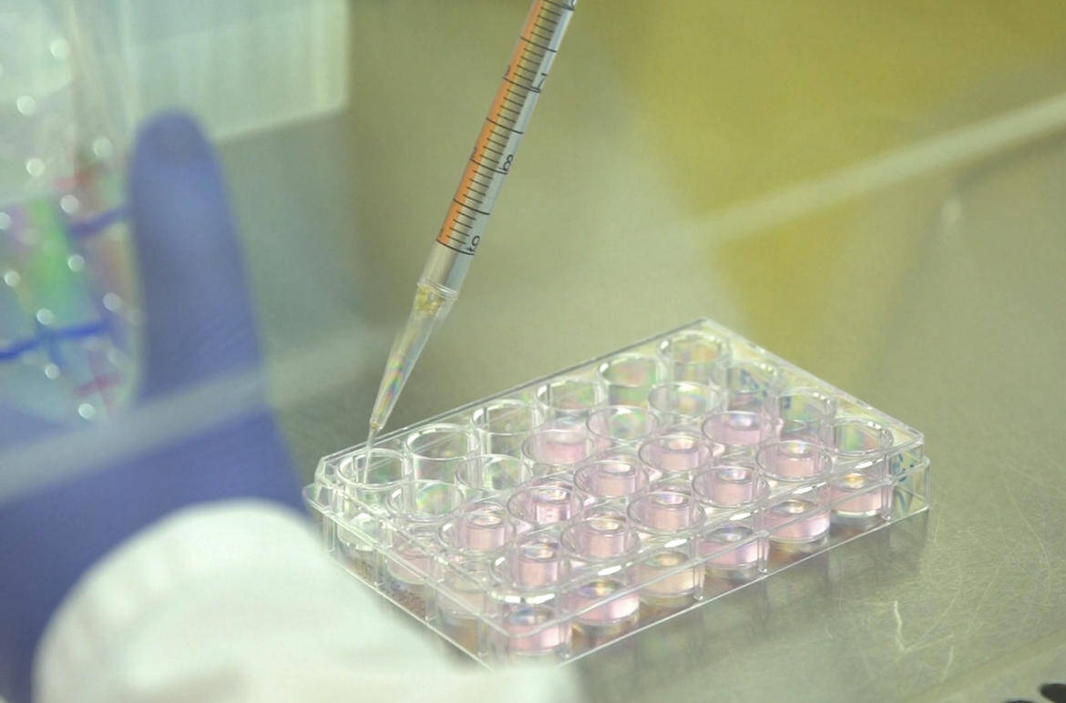 Immagine: 848FD3C9-DBB9-4A9A-910F-F402E9544681_imagefullwide (2)