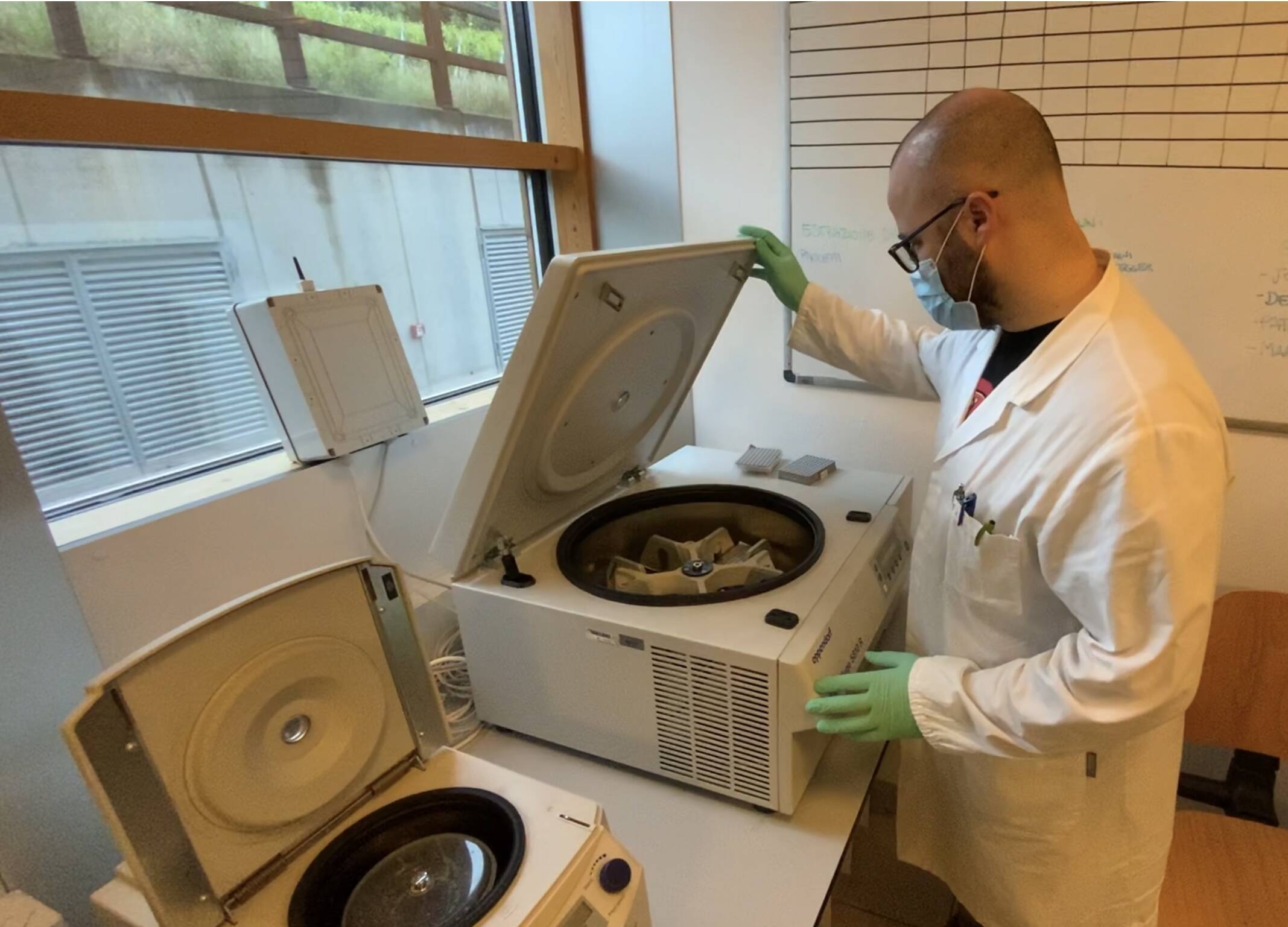 Immagine: 886CC42F-0B52-43EA-9121-C14458CFE1DB