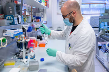 Coronavirus: dal bollettino di sabato 13 febbraio 2021