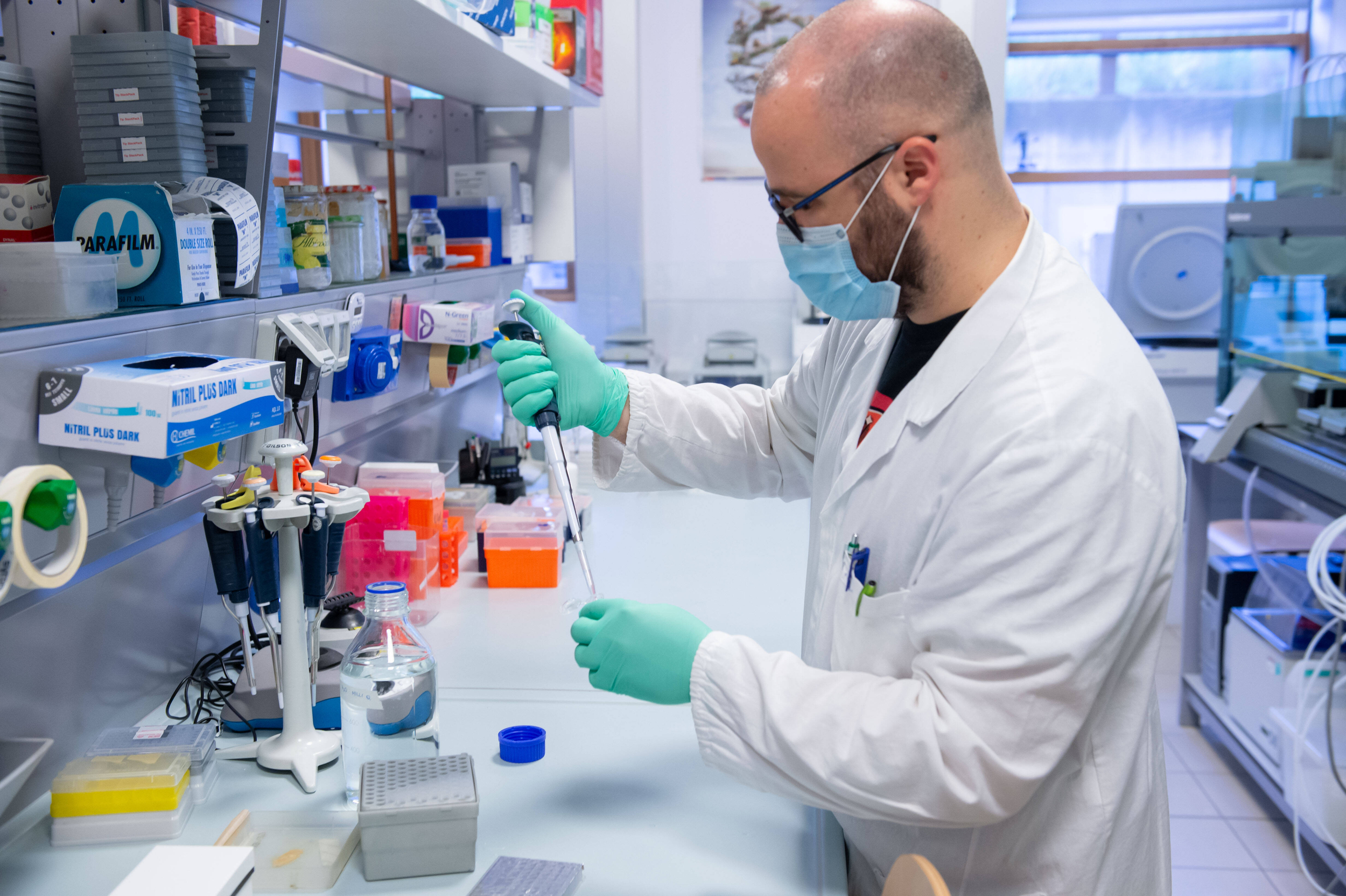 Immagine: 9743DE8A-D316-421D-978D-B049314EBFB4