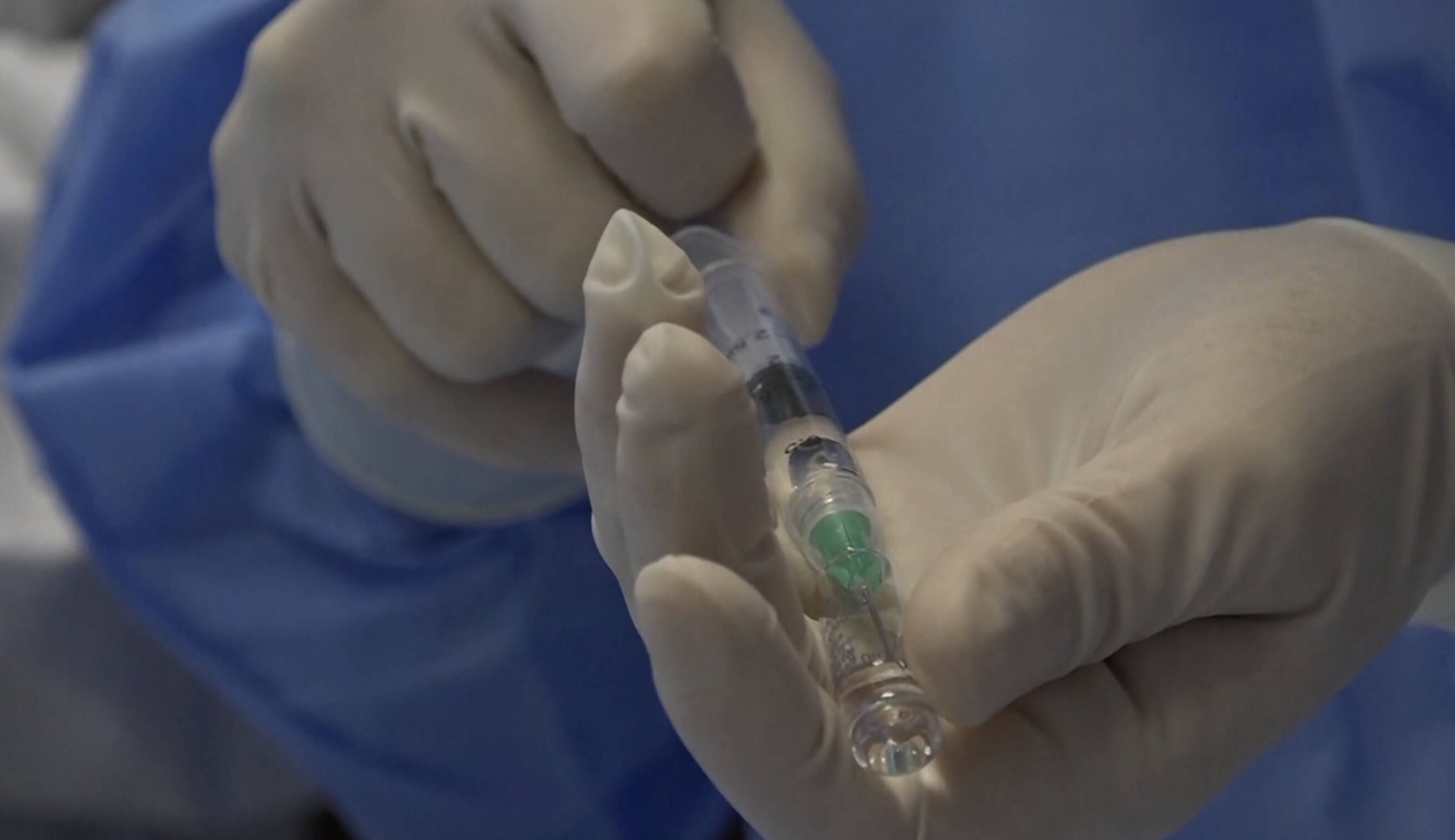 Immagine: A6D05711-1BF6-4124-9D66-E331AB666694