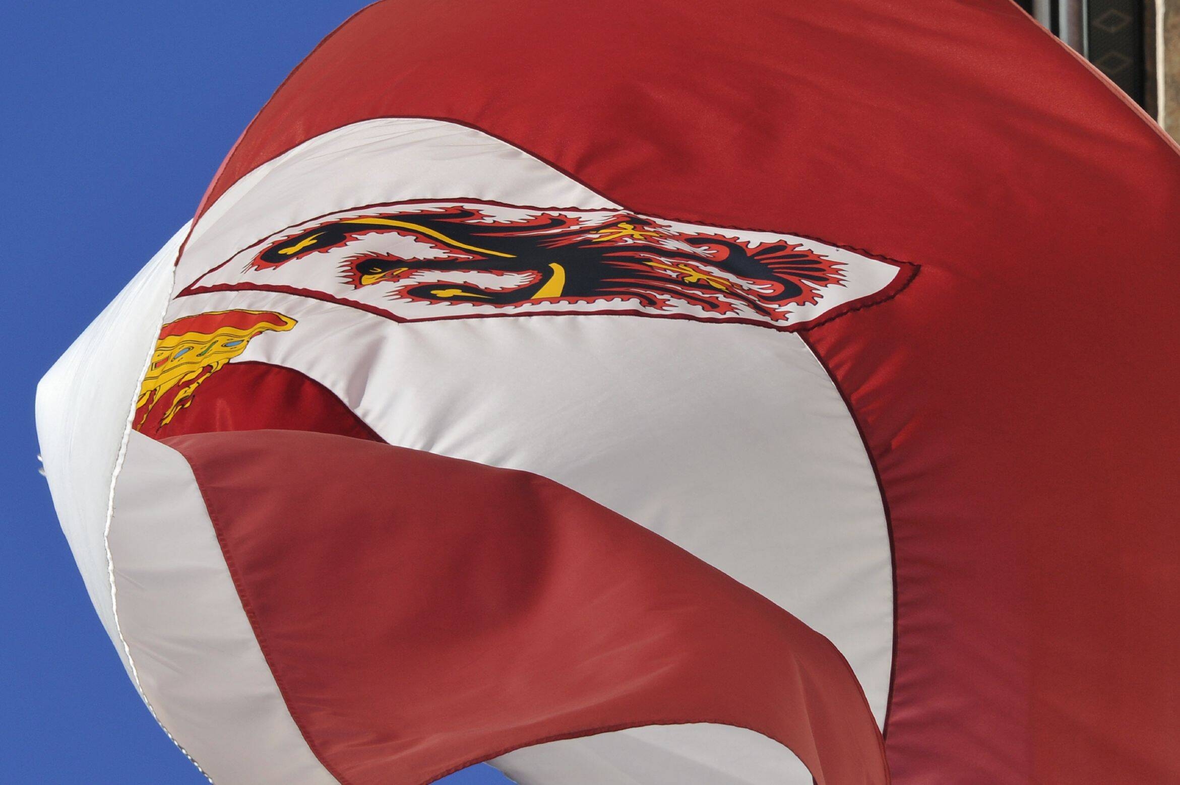 Immagine: AgFB031212_014A (4)