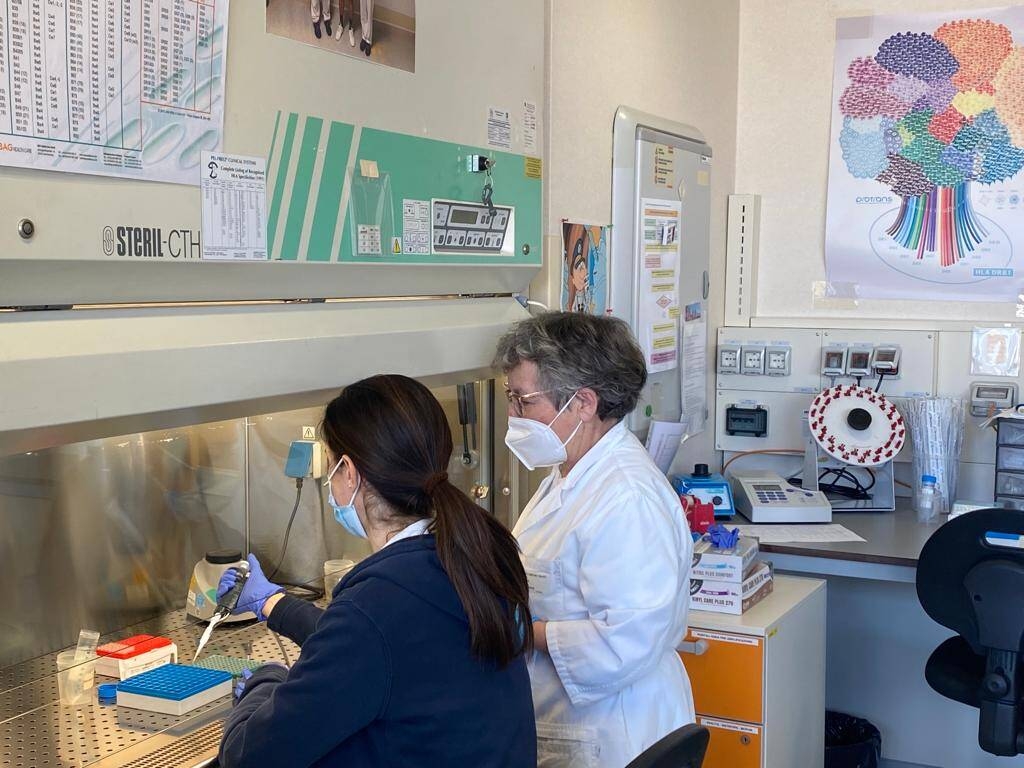 Immagine: Ambulatorio hla trento