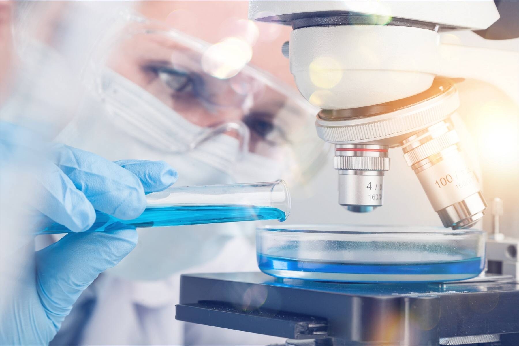 Immagine: analisi al microscopio