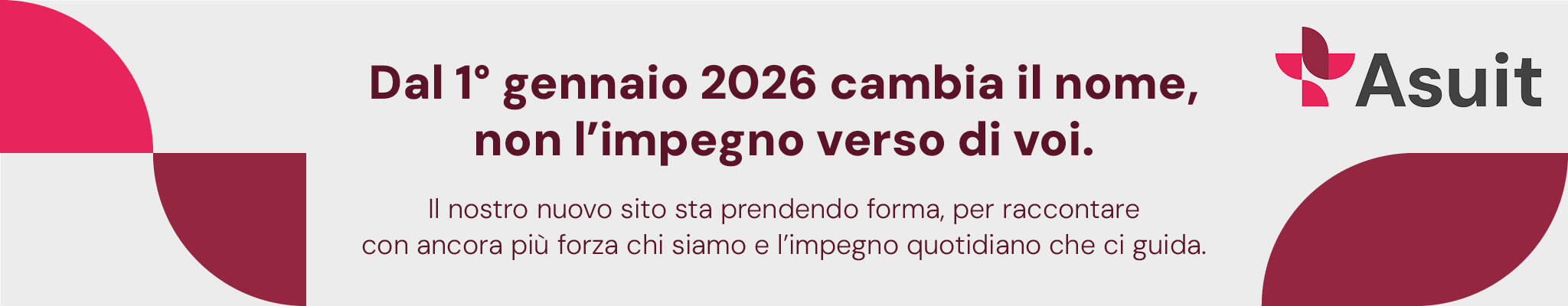  Asuit banner - SS - Licenza proprietaria