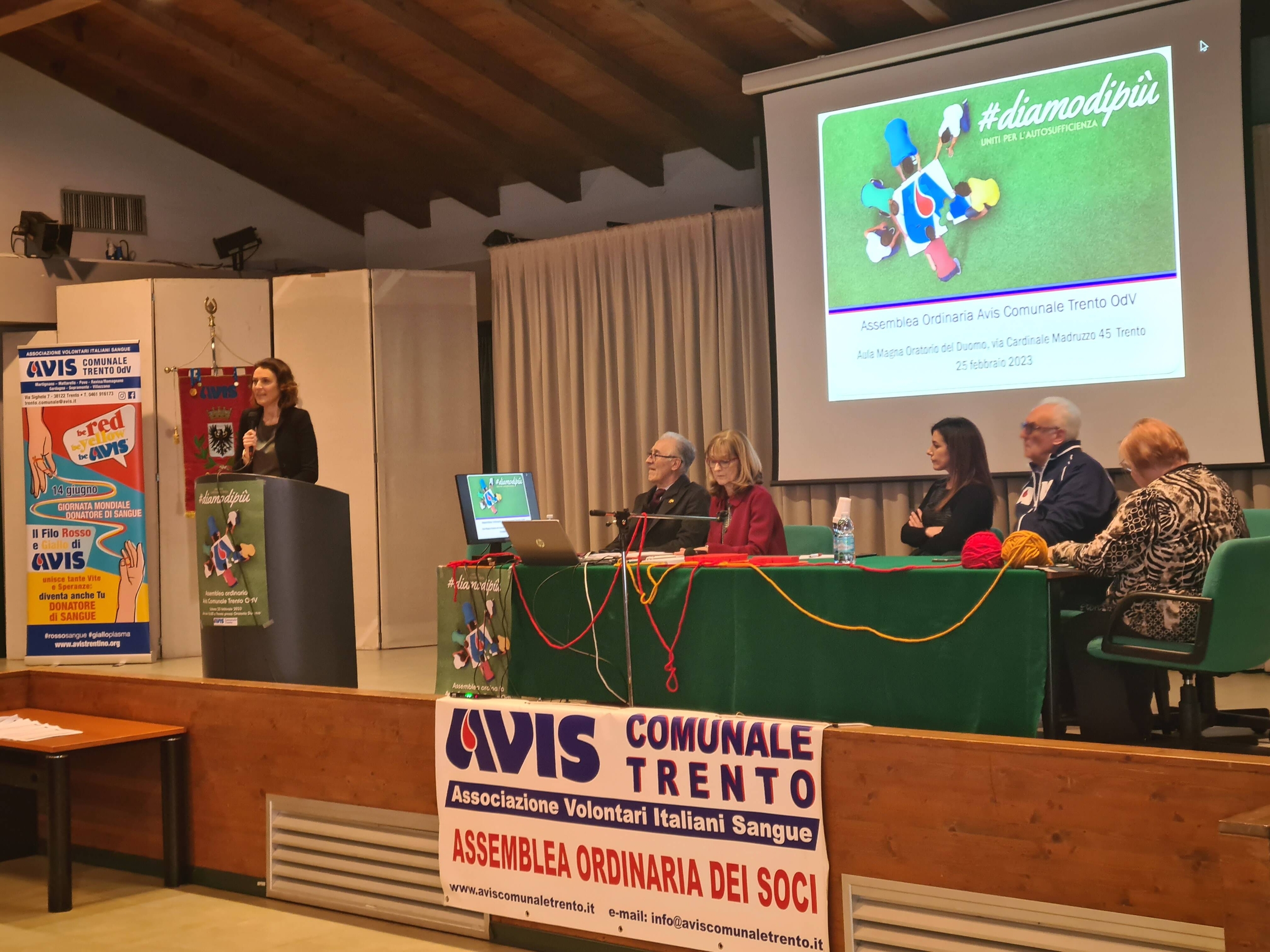 Immagine: Avis Trento1