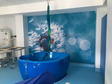 Ospedale di Cavalese e medici specializzati, le precisazioni dell’assessore alla salute