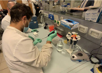 Coronavirus: la situazione di mercoledì 6 gennaio 2021