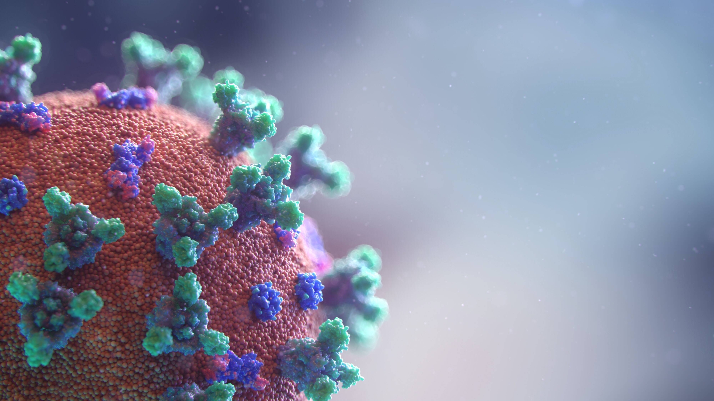 Immagine: Coronavirus