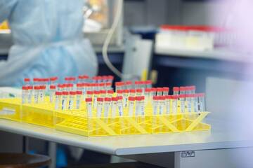 Coronavirus: dal report del 31 dicembre 2020