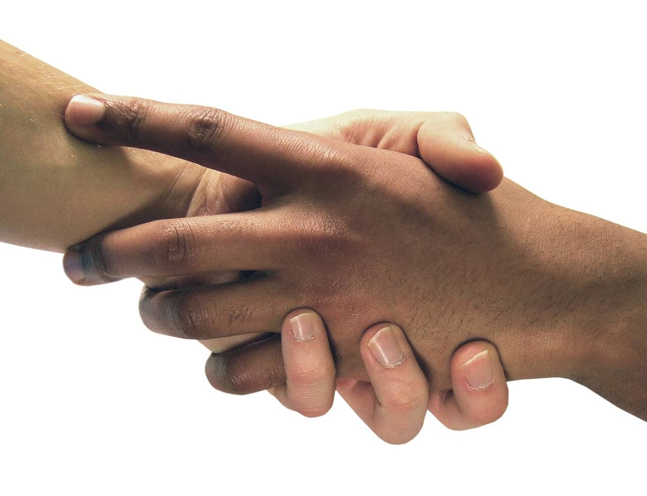 Immagine: Foto di Jérôme Hernandez da Pixabay