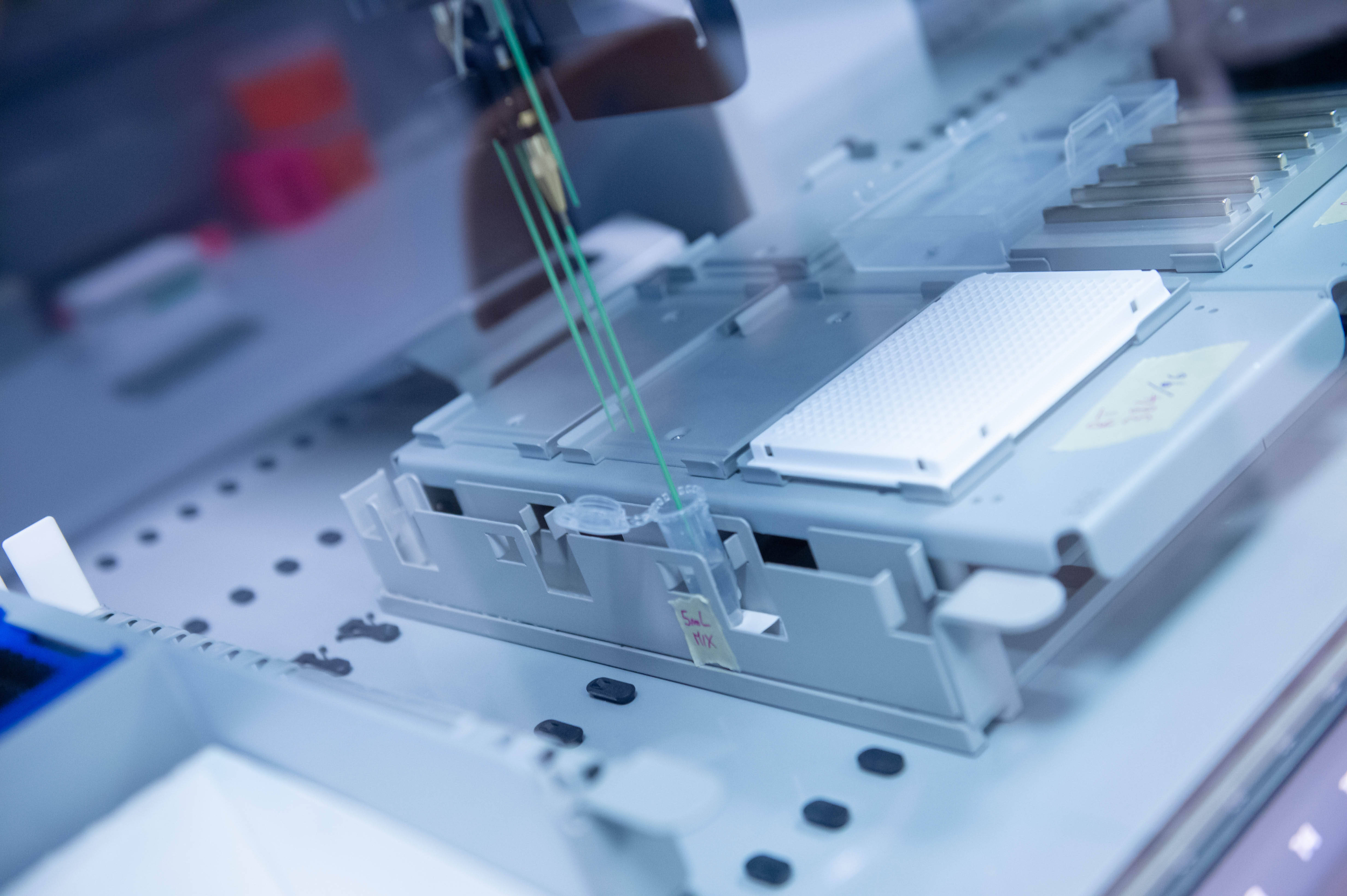 Immagine: FugattiFEM0611_039