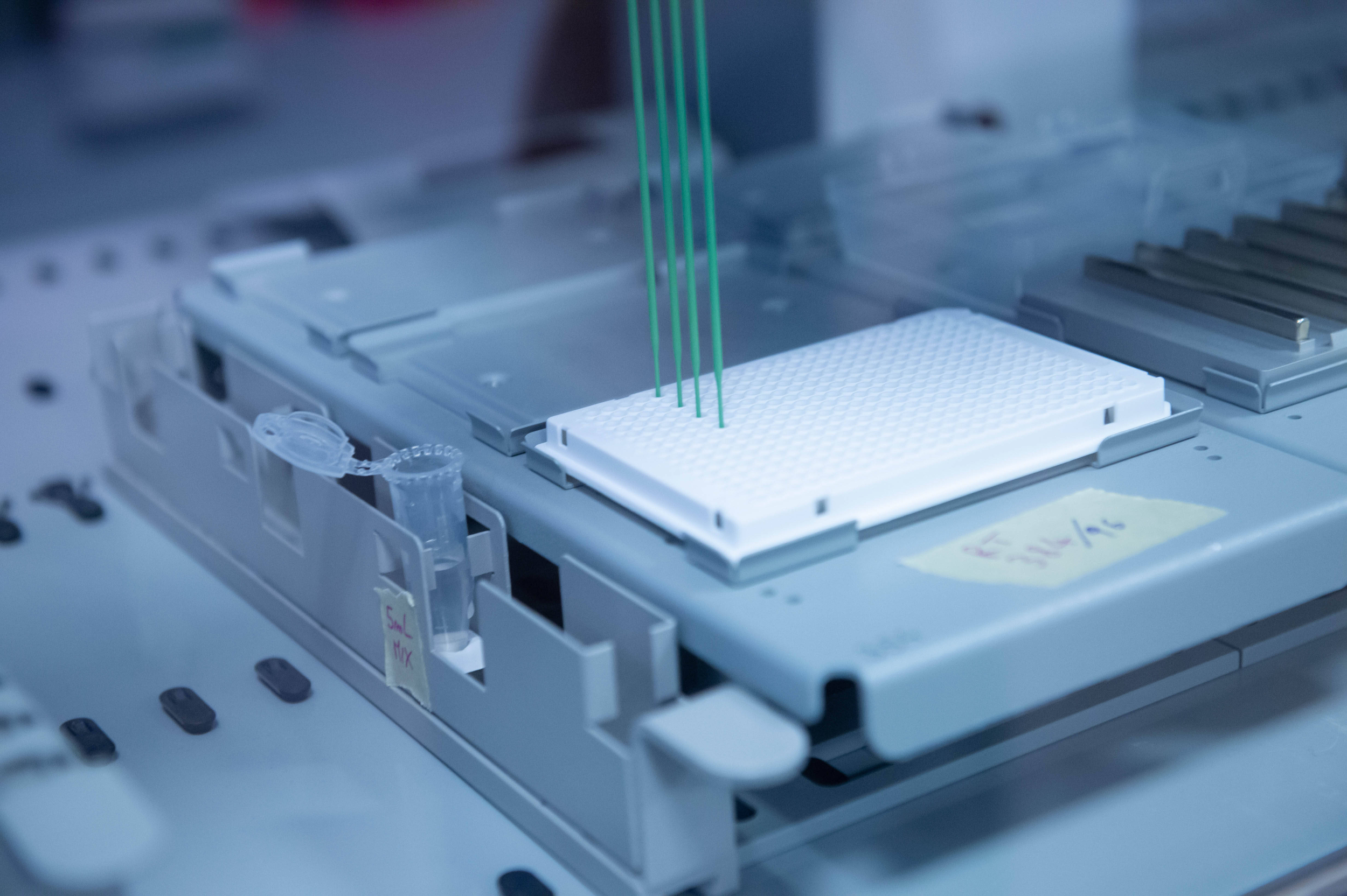 Immagine: FugattiFEM0611_041