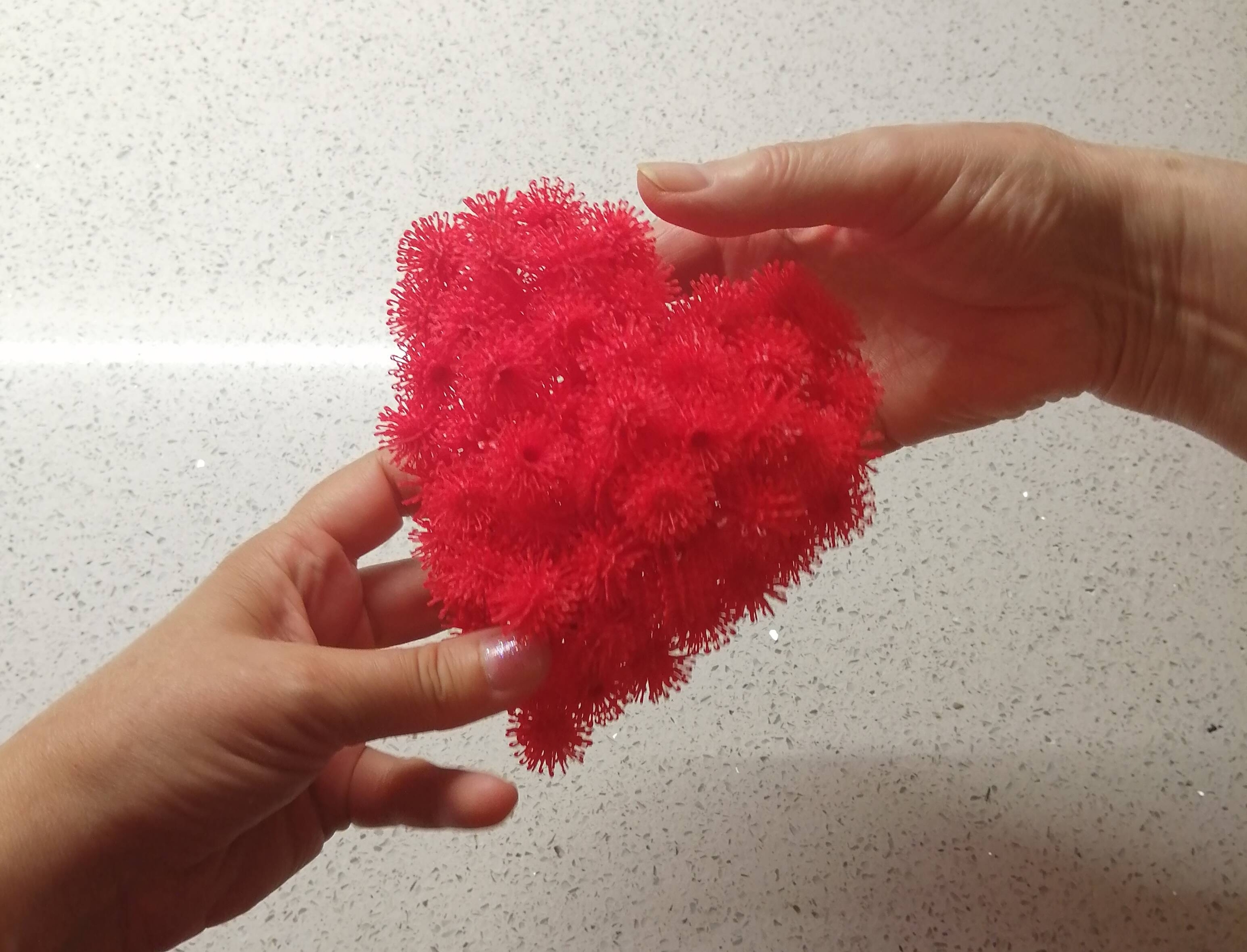 Immagine: IMG 20210805 212242