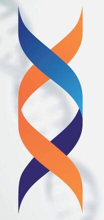 Immagine: Immagine PF1