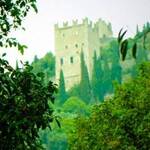 Immagine: L'arte che cura 5