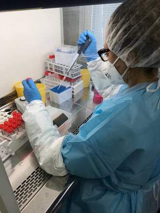 Coronavirus: i dati di sabato 2 gennaio 2021