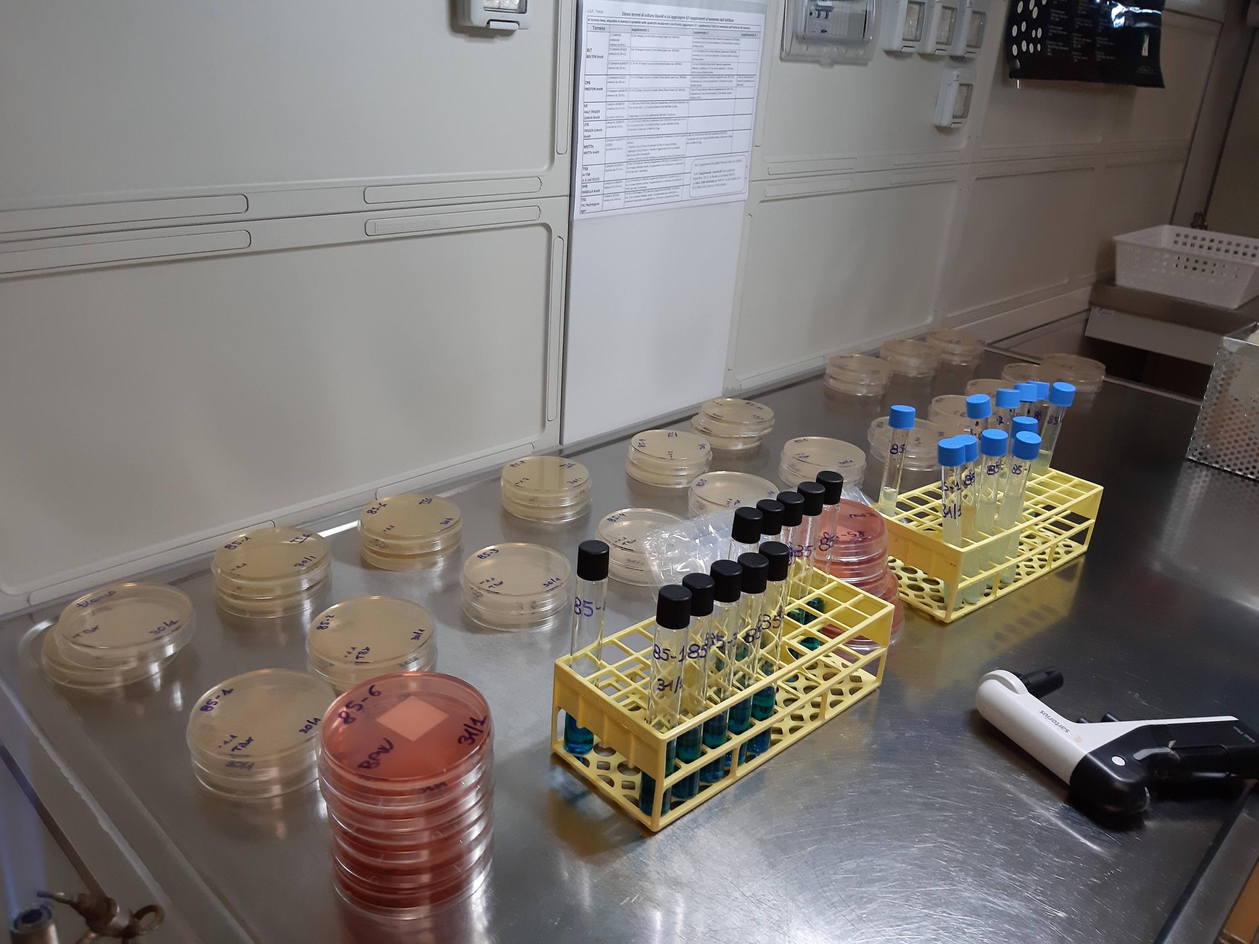 Immagine: laboratorio igiene pubblica