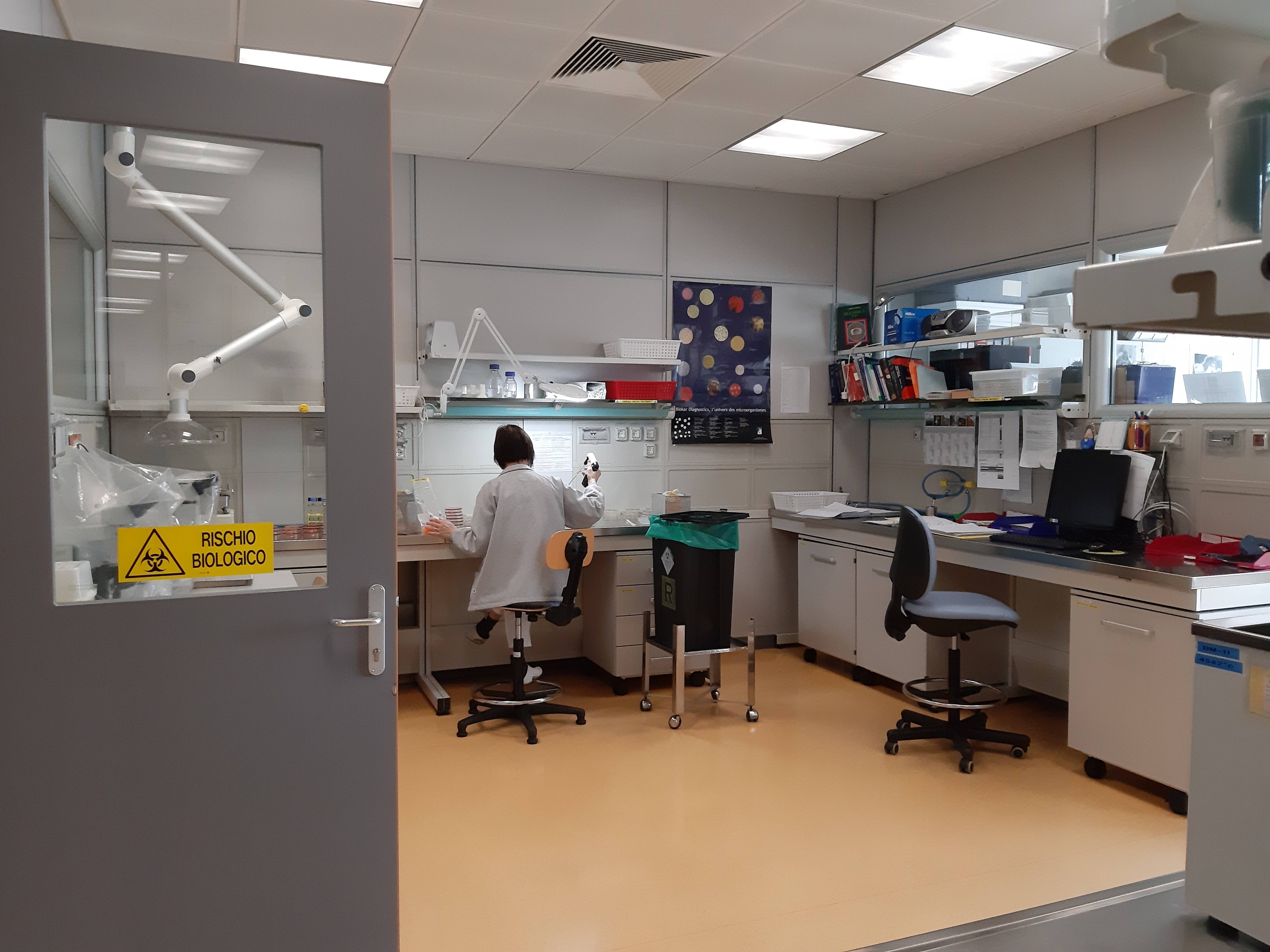 Immagine: laboratorio igiene pubblica