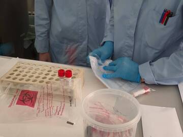 Coronavirus: i dati del bollettino di sabato 26 giugno 2021