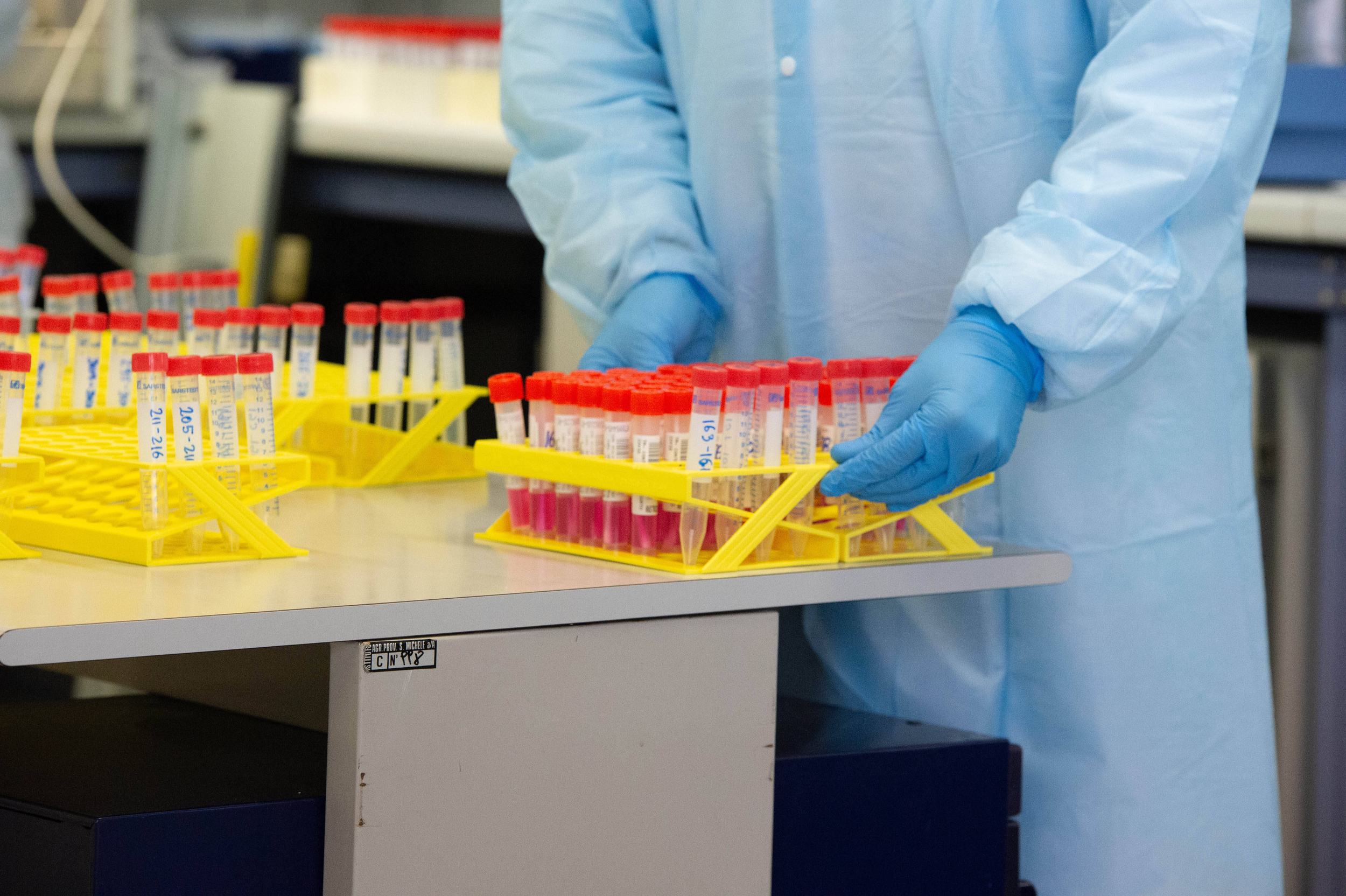 Immagine: Laboratorio tamponi Covid