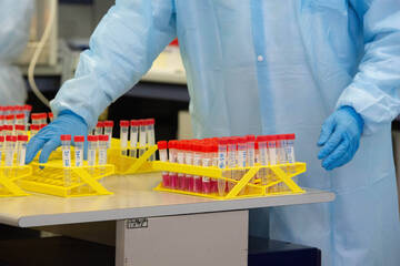 Coronavirus: dal bollettino di martedì 16 febbraio 2021