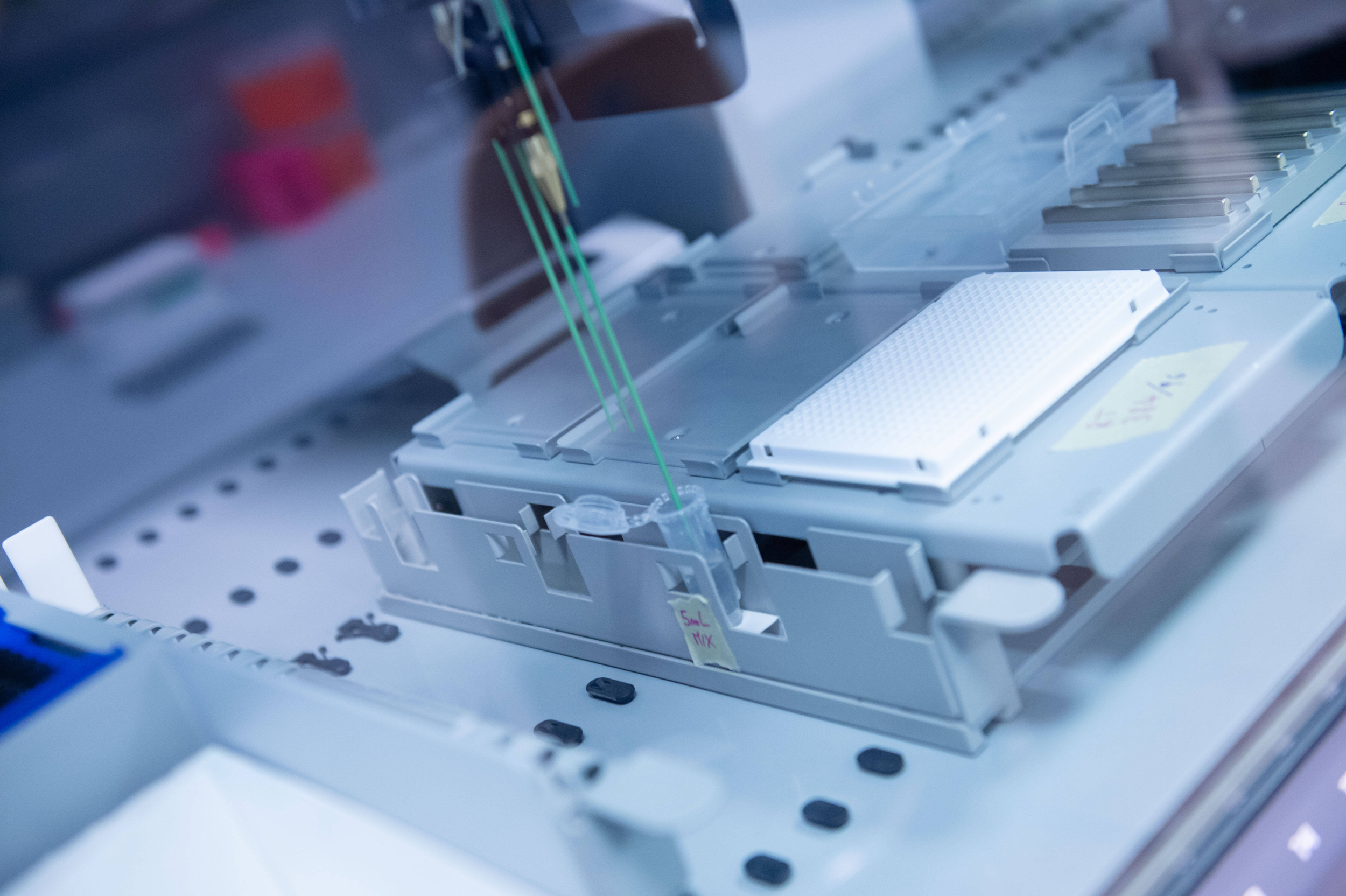 Immagine: Laboratorio tamponi Covid