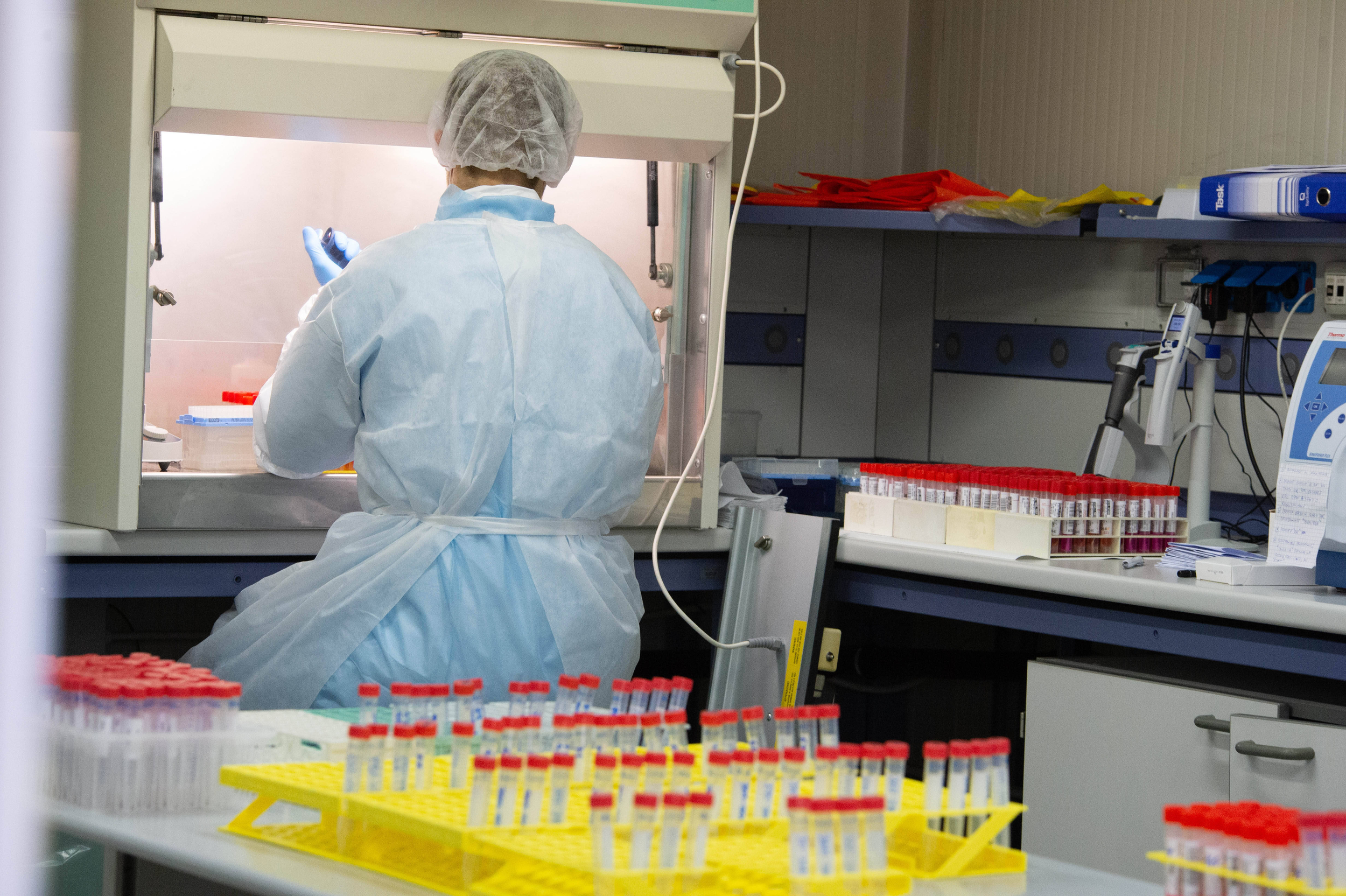 Immagine: Laboratorio tamponi Covid