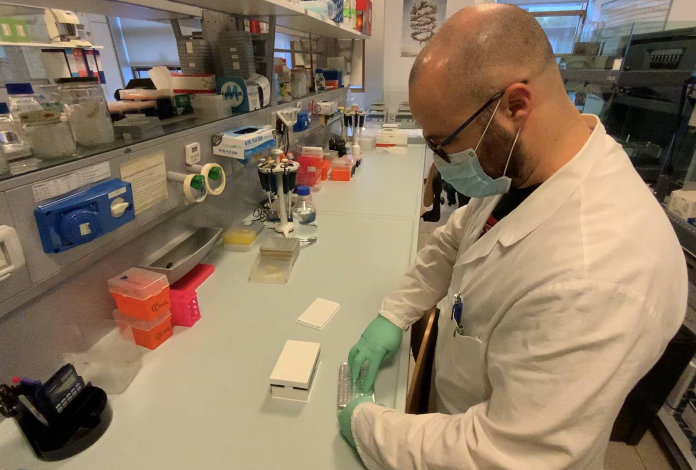 Immagine: Laboratorio tamponi Covid