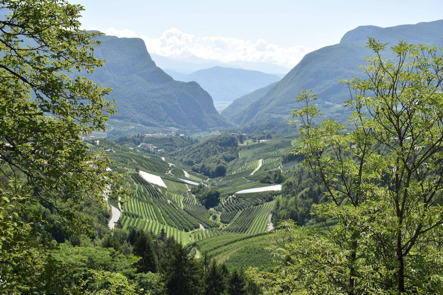 Immagine: Lover e la via dell'acqua