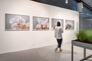 The Mountain Touch. Un viaggio nella natura che cura