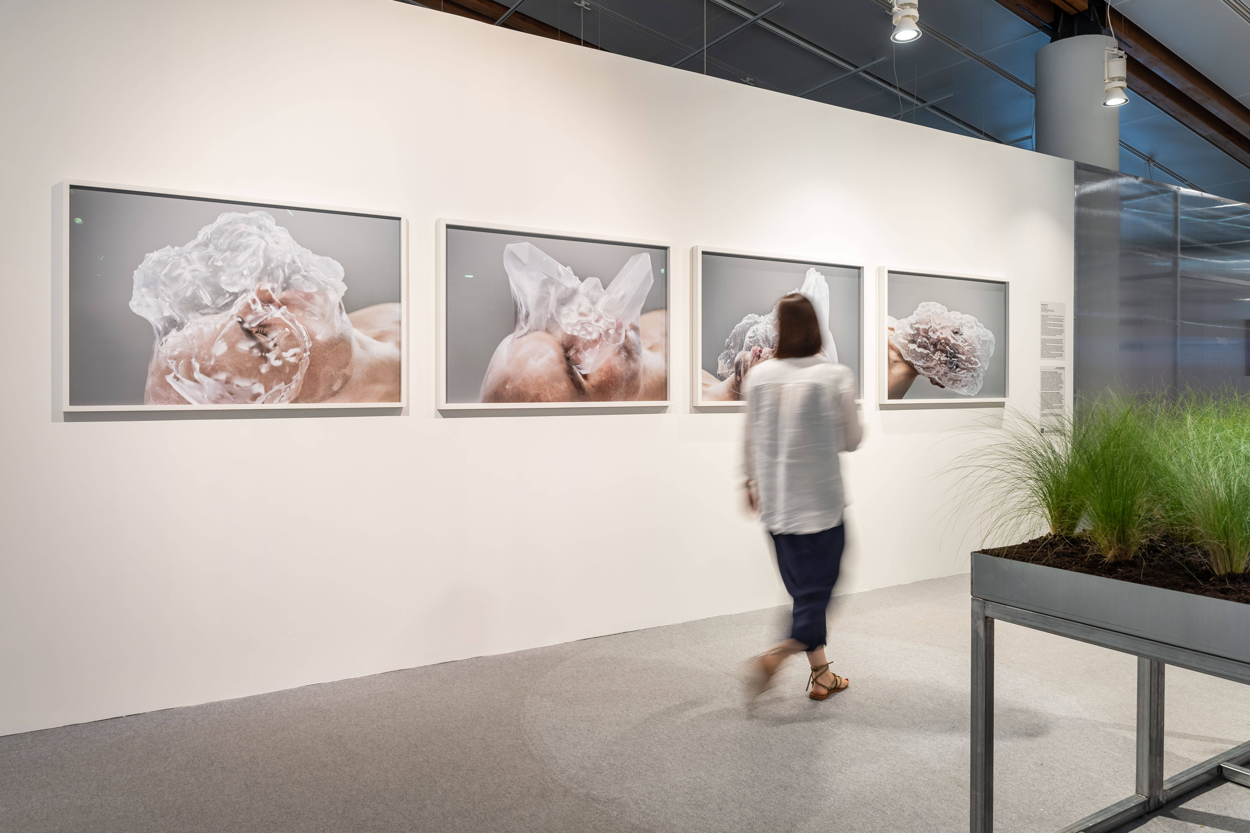 Immagine: Mountain touch 46