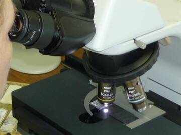 Borse di studio per personale sanitario non medico