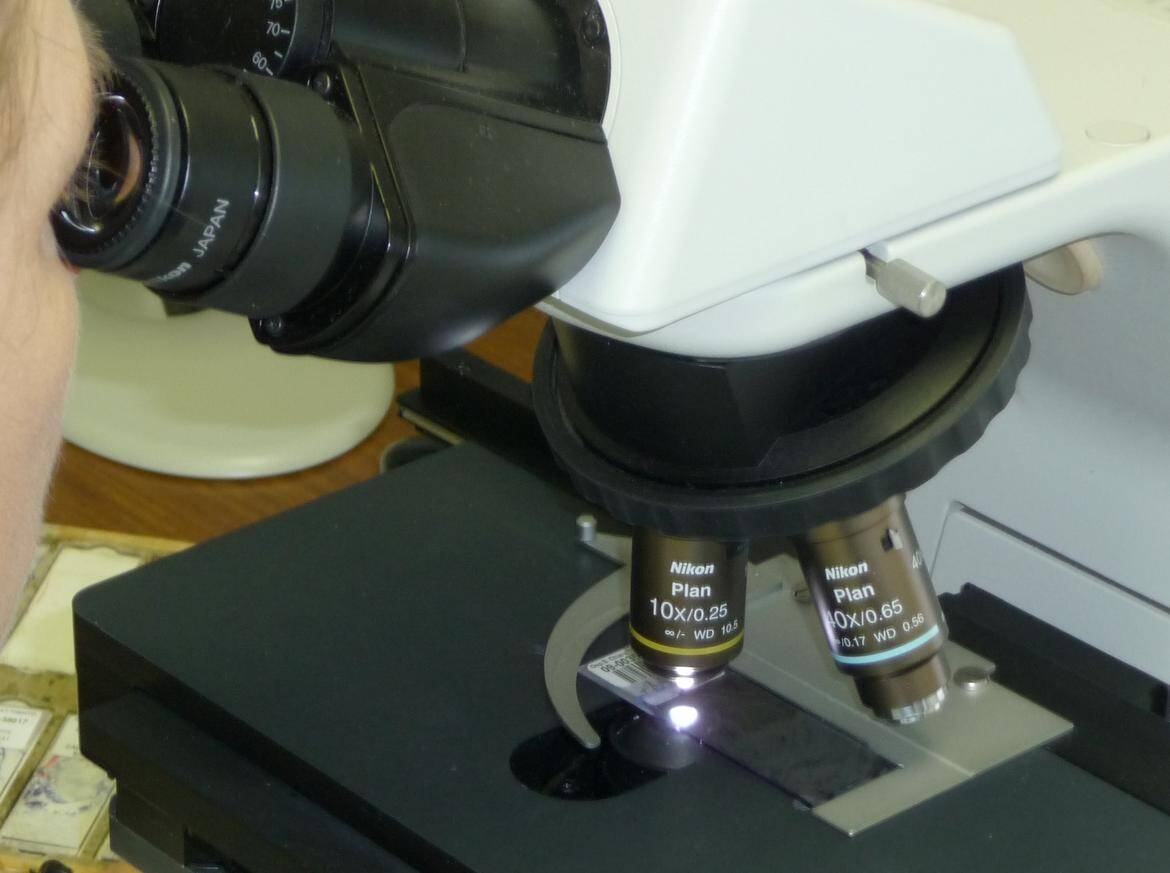 Immagine: P1000437_imagefullwide