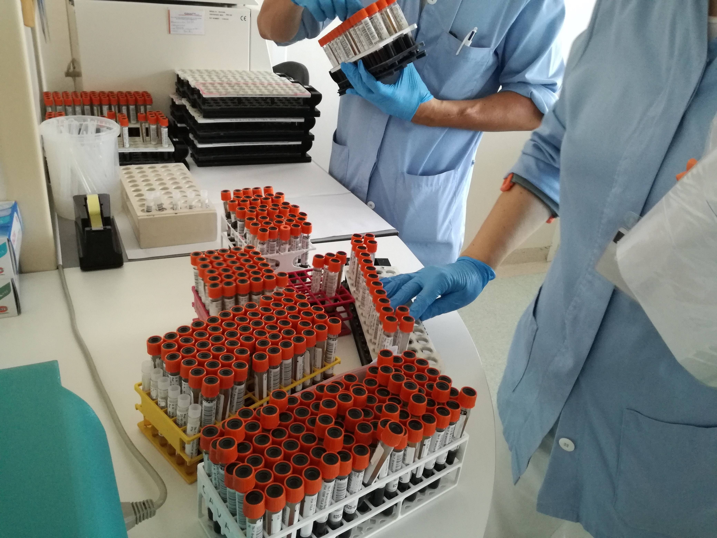 Immagine: Provette sangue