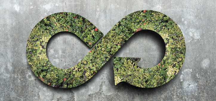 Immagine: Rethinking-localdevelopment-strategies