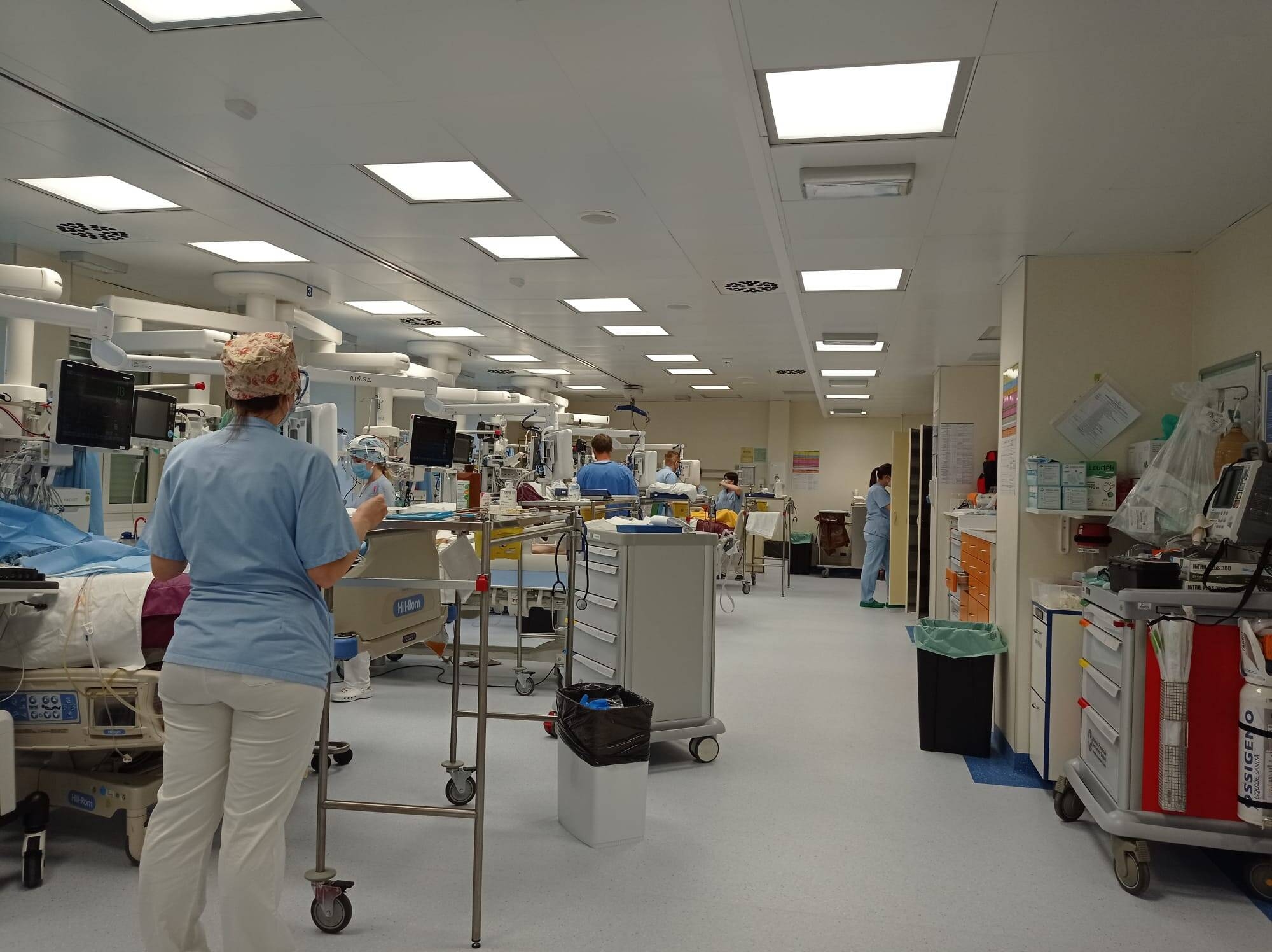 Immagine: ria nch santa chiara 2