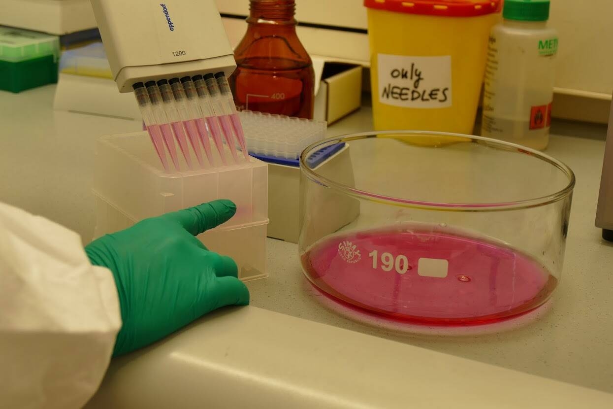 Immagine: ricerca FEM- LAB