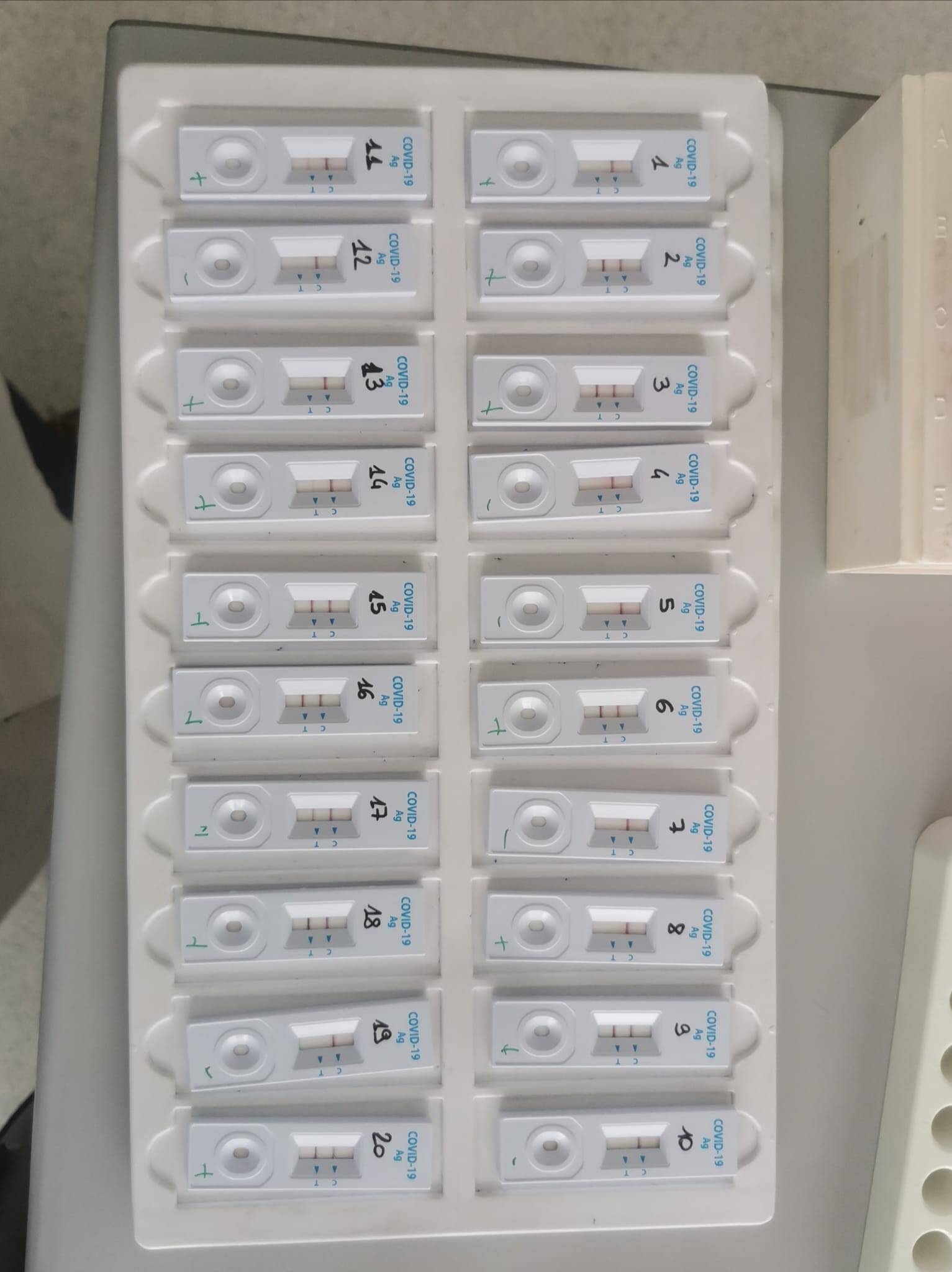 Immagine: tamponi rapidi 2