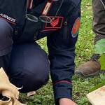 Immagine: Un albero per la salute 2