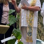 Immagine: Un albero per la salute 3