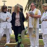 Immagine: Un albero per la salute 4