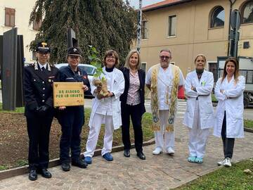 L'ospedale di Rovereto pianta la sua betulla per un futuro sano e sostenibile 