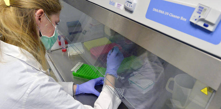 Immagine: unnamed (51)