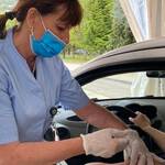 Immagine: vaccinazione viale verona 